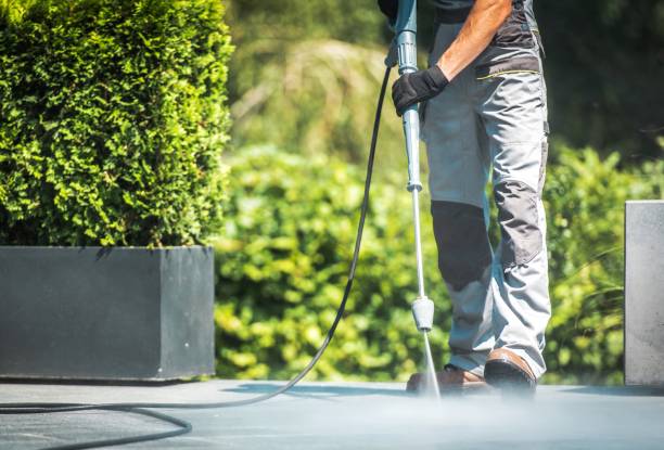 Best Rust Removal  in Cairo, IL