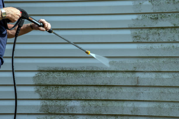Best House Exterior Washing  in Cairo, IL